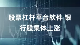 股票杠杆平台软件 　　银行股集体上涨