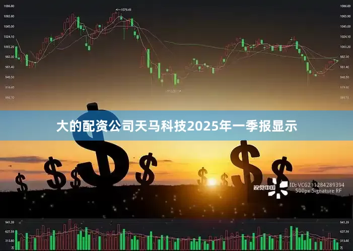大的配资公司天马科技2025年一季报显示
