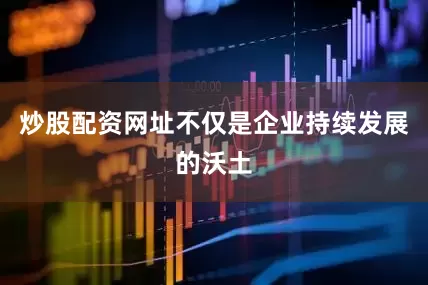 炒股配资网址不仅是企业持续发展的沃土